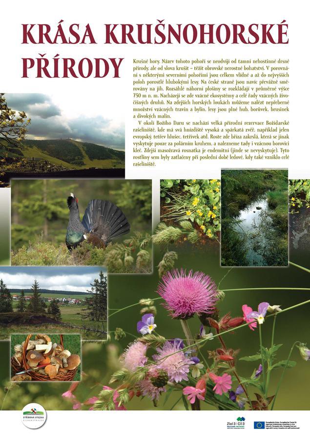 Penzion U Pašeráka Jáchymov Exterior foto